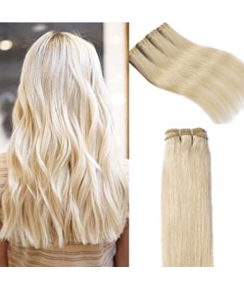 Extension Clip blond platine sur le site 