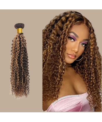 Tessitura Capelli Vergine Capelli Umani Ricci Kinky 7A Marrone Medio Biondo P4/27 100 Gr pas cher chine