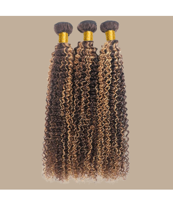 Tessitura Capelli Vergine Capelli Umani Ricci Kinky 7A Marrone Medio Biondo P4/27 100 Gr pas cher chine