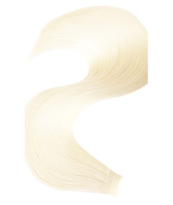 PONYTAIL Blond Platine france