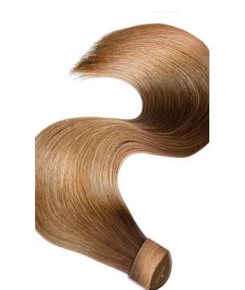 PONYTAIL Brun Clair Caramel sur le site 