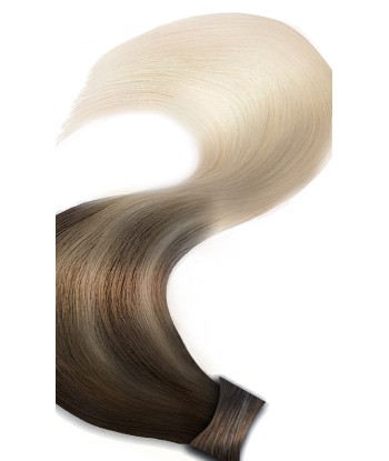 PONYTAIL Sombre Schoko-Dunkelbraun & Platinblond En savoir plus