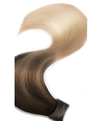 PONYTAIL Sombre Schoko-Dunkelbraun & Honigblond Economisez 