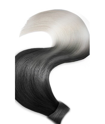 PONYTAIL Sombre Schwarz & Silberblond paiement sécurisé